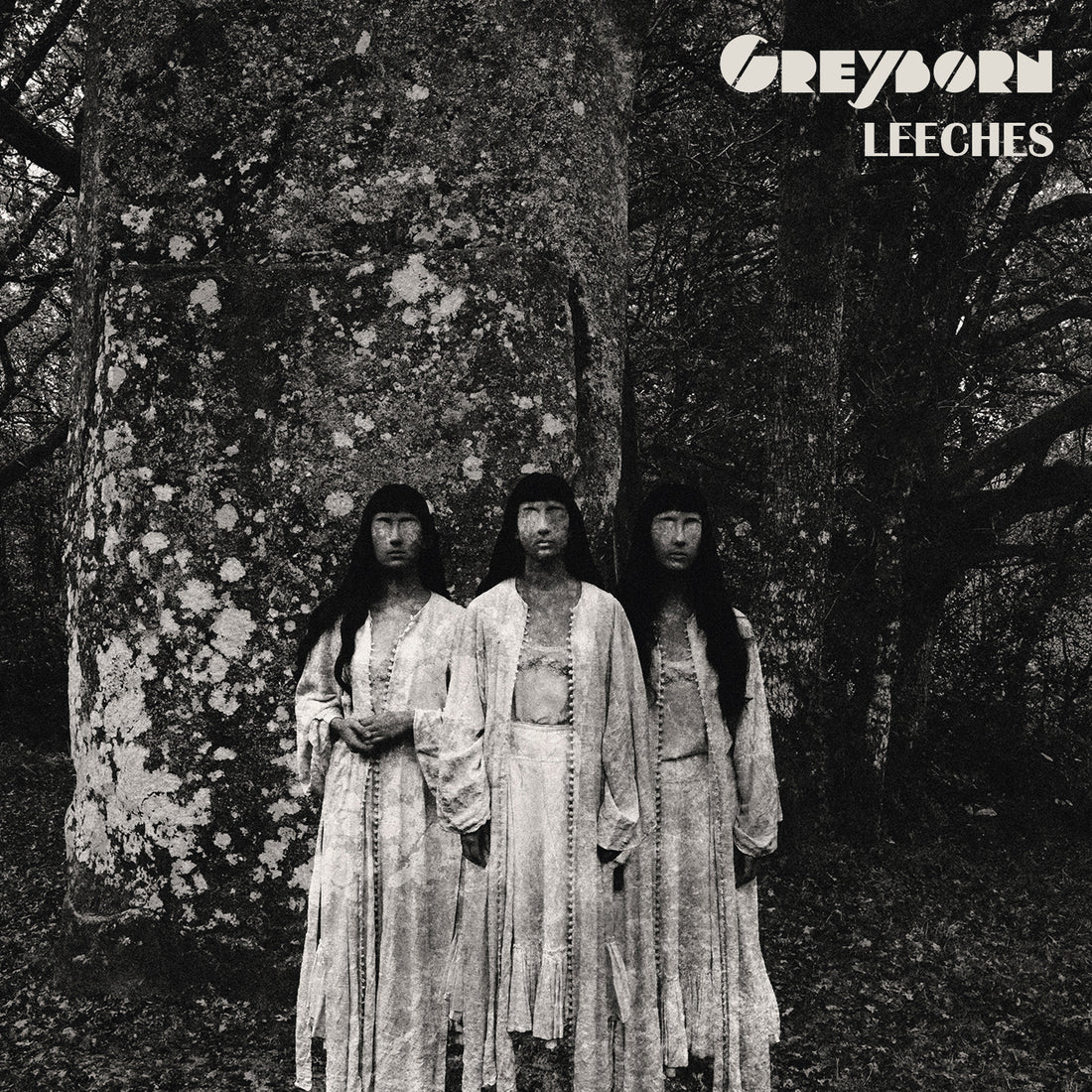 Greyborn